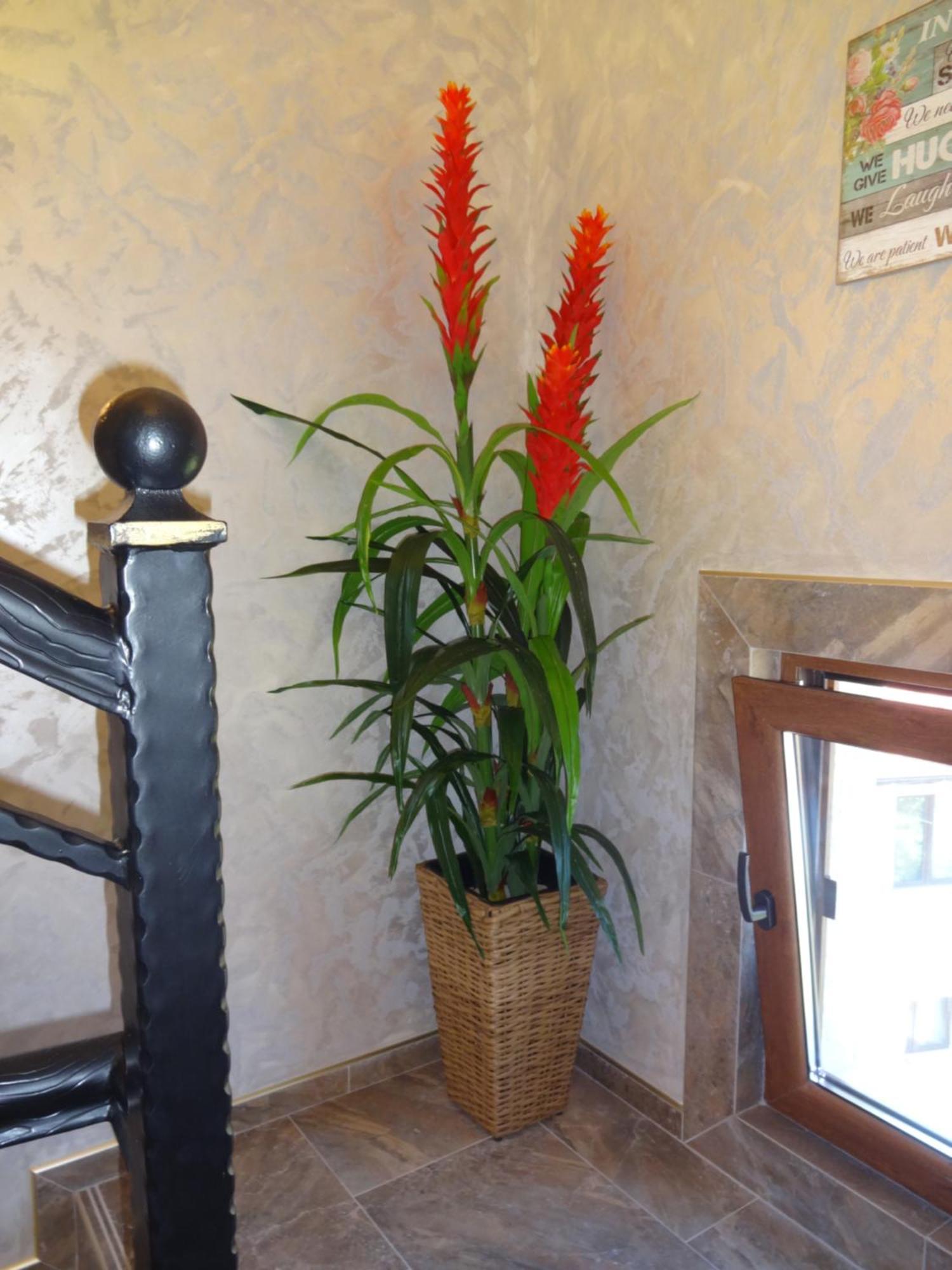 Apartments Dona Chernomorets Dış mekan fotoğraf